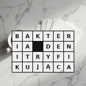 Rozwiązanie krzyżówki: bakteria z funkcjonalnie na podstawie scecyfiki fizjologicznej wyróżnianej grupy bakterii które w warunkach beztlenowych przeprowadzają proces denitryfikacji odgrywają kluczową rolę w krążeniu az - bakteria denitryfikująca | hasła, synonimy i podpowiedzi Hasło krzyżówkowe bakteria z funkcjonalnie na podstawie scecyfiki fizjologicznej wyróżnianej grupy bakterii które w warunkach beztlenowych przeprowadzają proces denitryfikacji odgrywają kluczową rolę w krążeniu az - bakteria denitryfikująca – rozwiązanie, synonimy, podpowiedzi i definicje krzyżówkowe